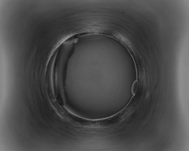 X0000084530674200703021421