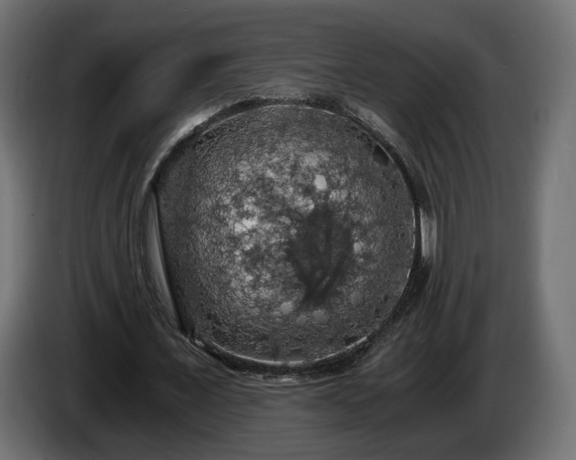 X0000084530675200703021421