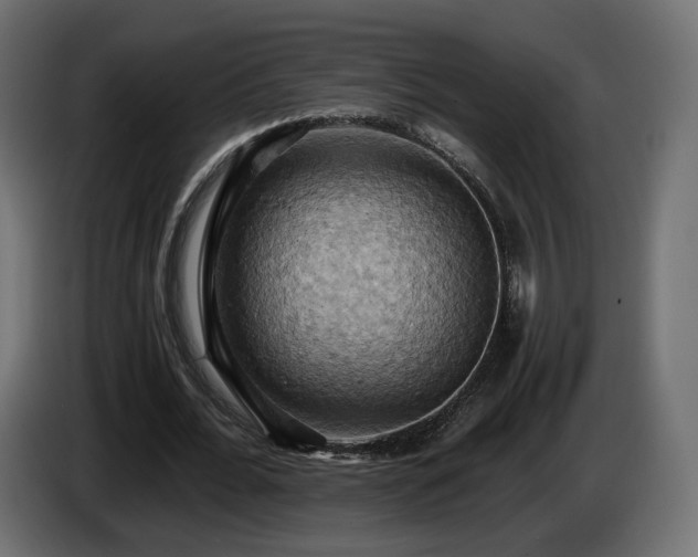 X0000084530676200703021421