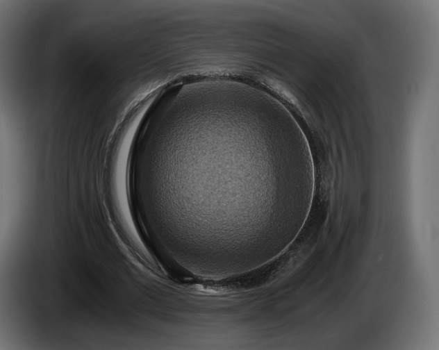 X0000084530677200703021421