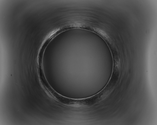X0000084530678200703021421