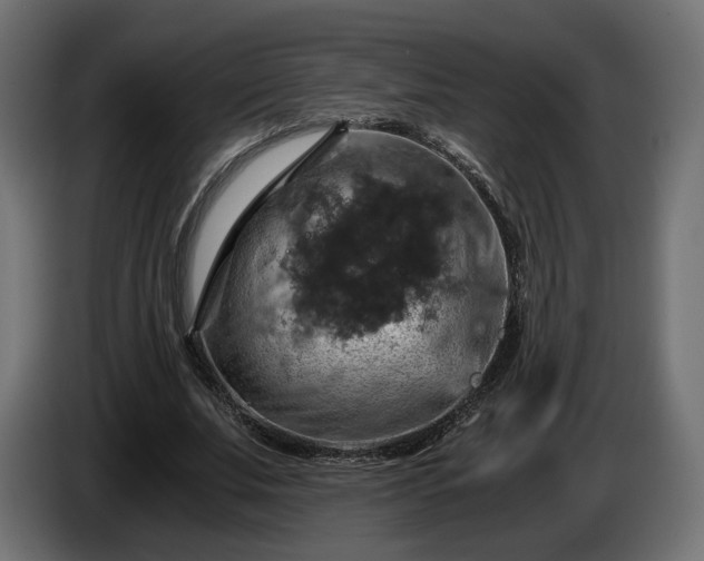 X0000084530679200703021421