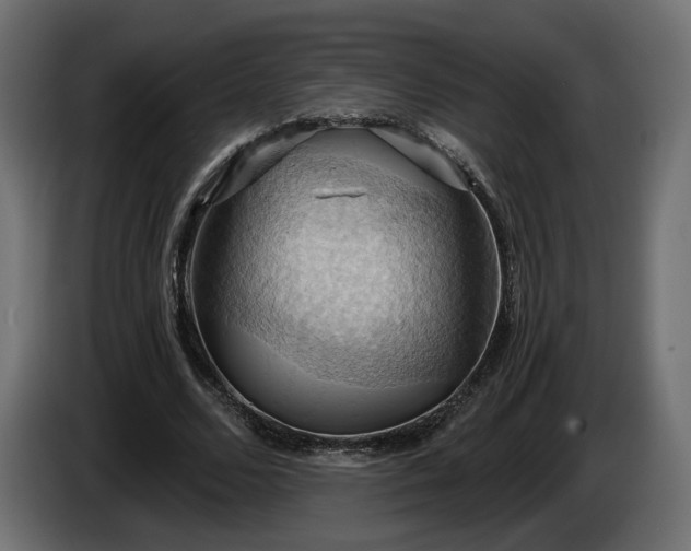 X0000084530680200703021421