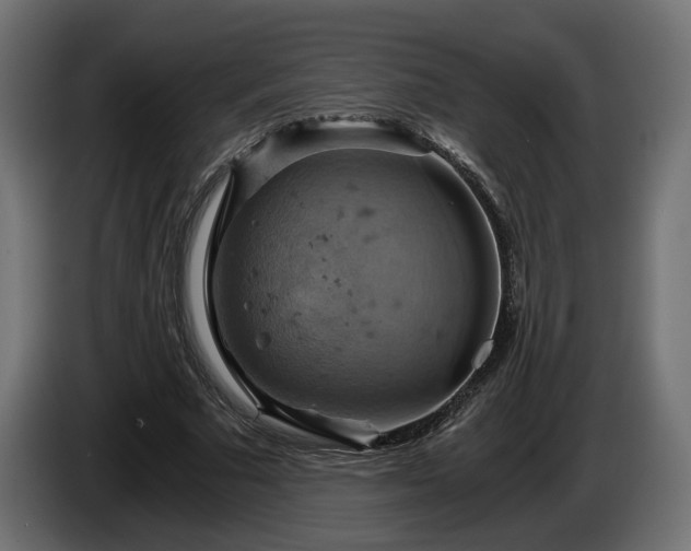 X0000084530681200703021421