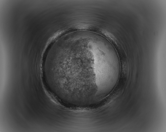 X0000084530682200703021421