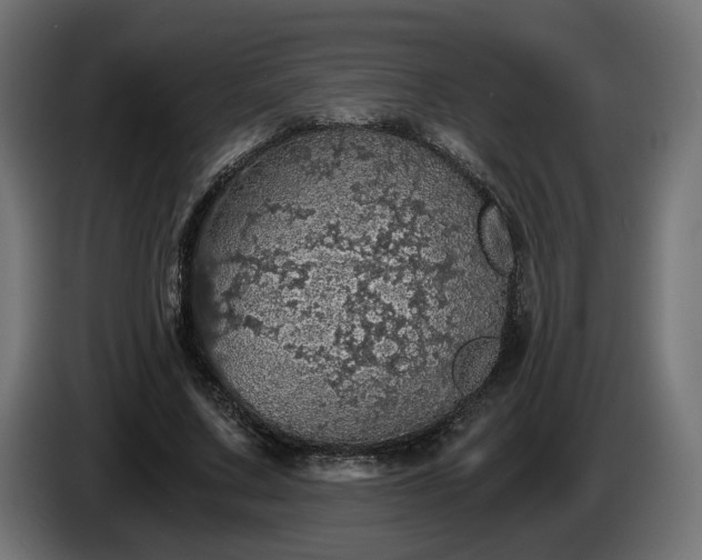 X0000084530683200703021421
