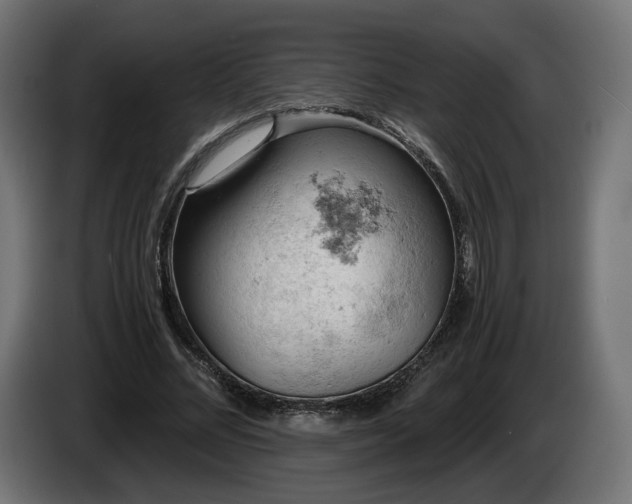 X0000084530684200703021421