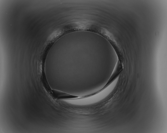 X0000084530685200703021421