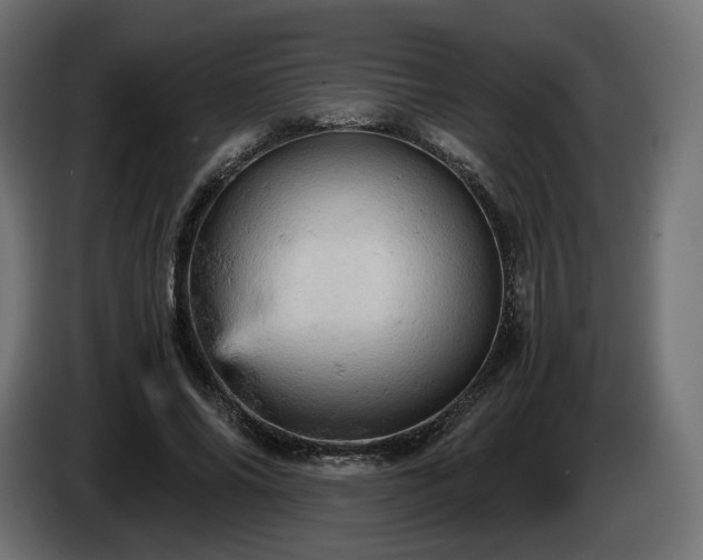 X0000084530686200703021421