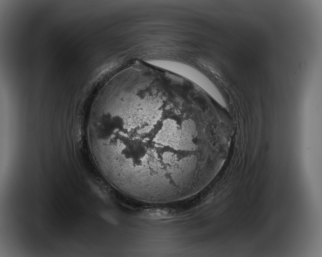 X0000084530687200703021421