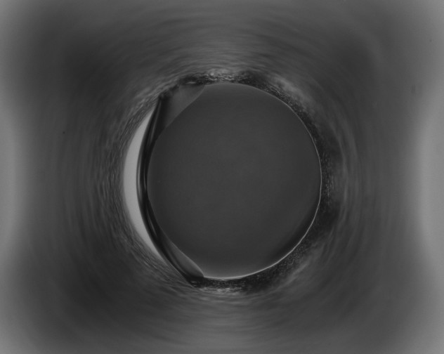 X0000084530689200703021421
