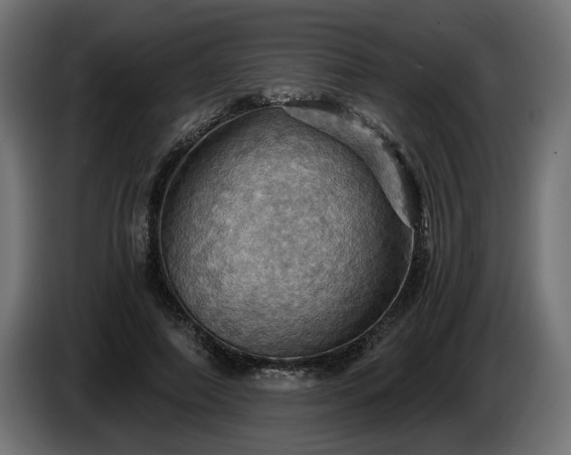 X0000084530690200703021421
