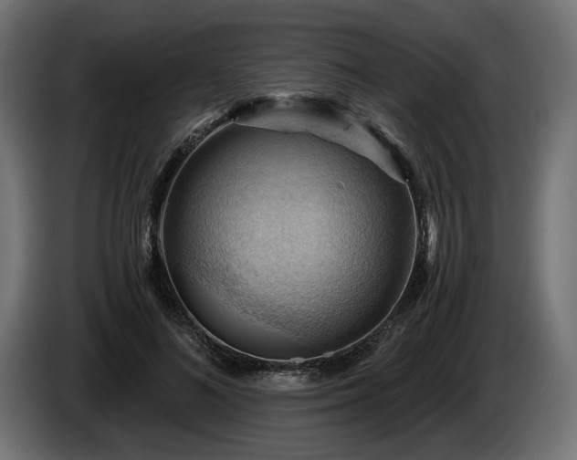 X0000084530692200703021421