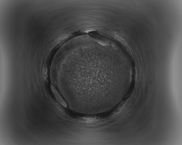 X0000084530693200703021421