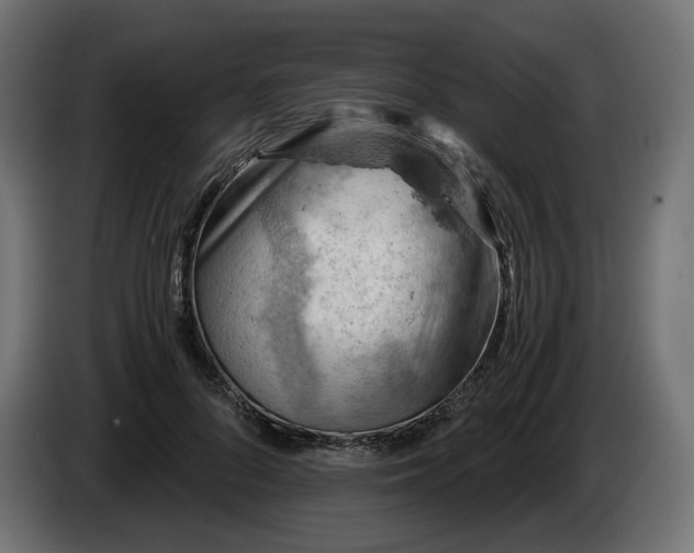 X0000084530696200703021421