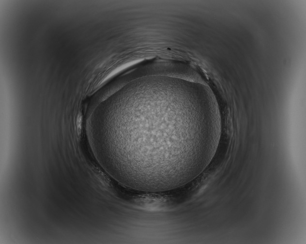 X0000084530697200703021421