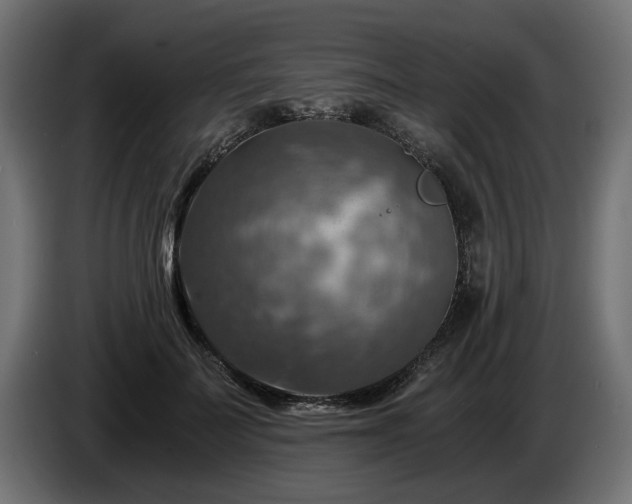 X0000084530699200703021421