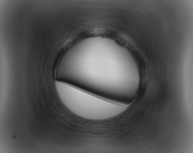 X0000084530700200703021421