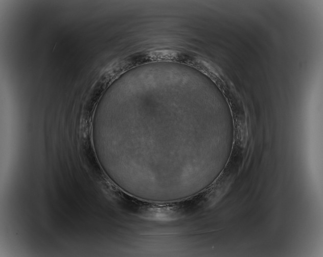 X0000084530701200703021421