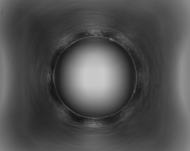 X0000084530702200703021421