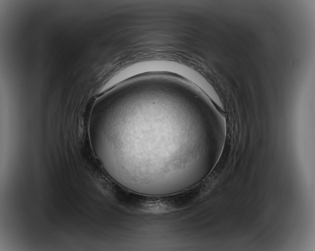 X0000084530704200703021421