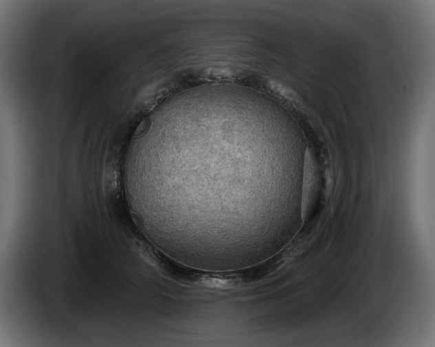 X0000084530706200703021421