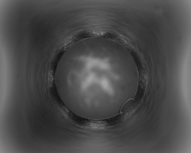 X0000084530707200703021421