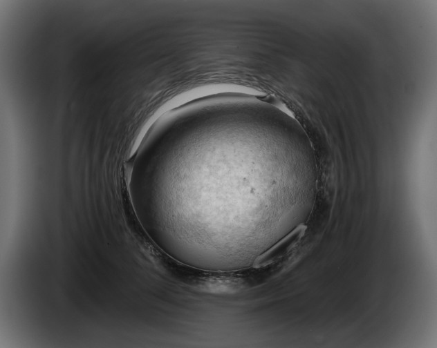 X0000084530708200703021421