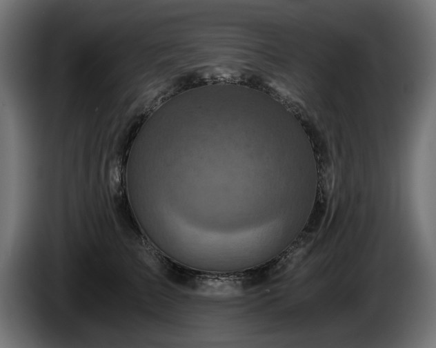 X0000084530709200703021421