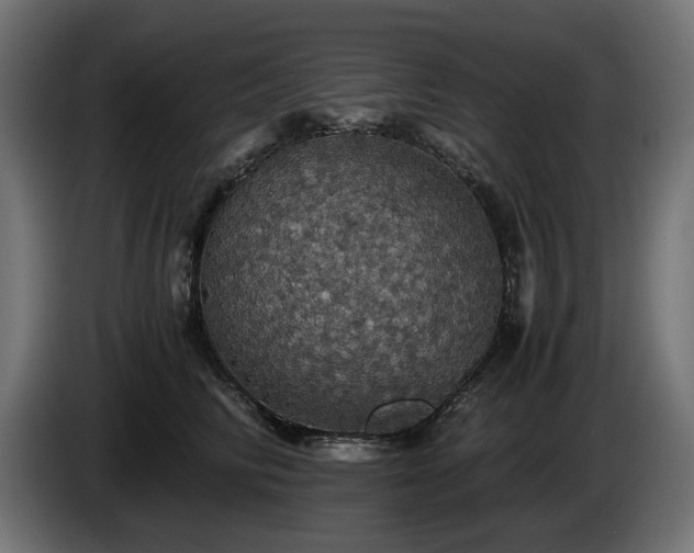 X0000084530710200703021421