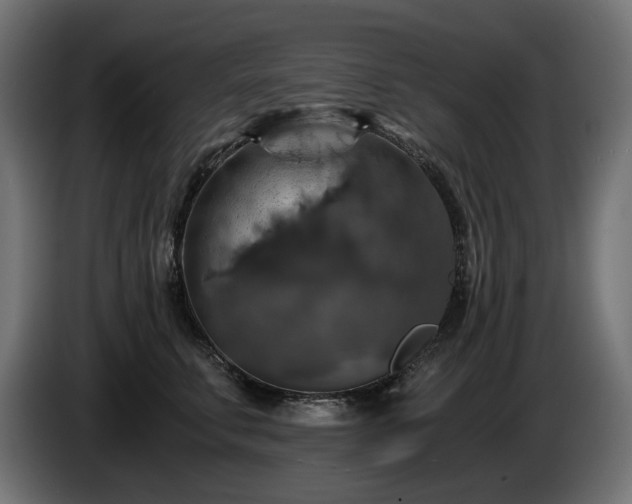 X0000084530711200703021421