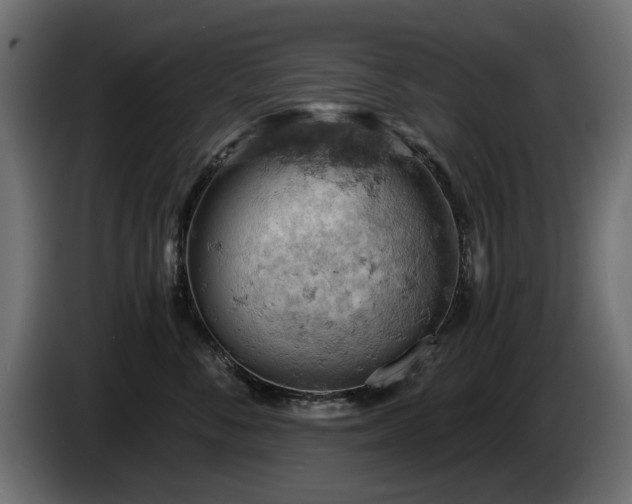 X0000084530716200703021420