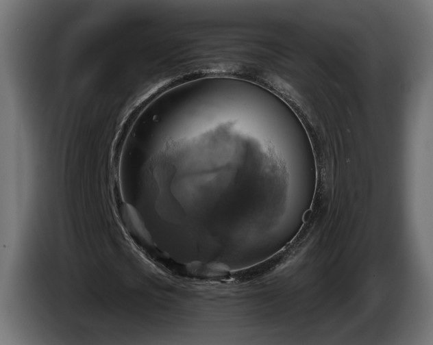 X0000084530721200703021420
