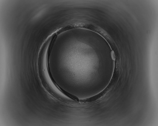 X0000084530722200703021420
