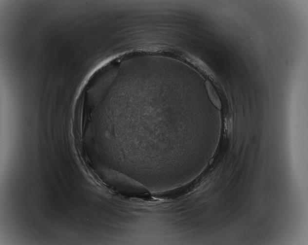 X0000084530724200703021420