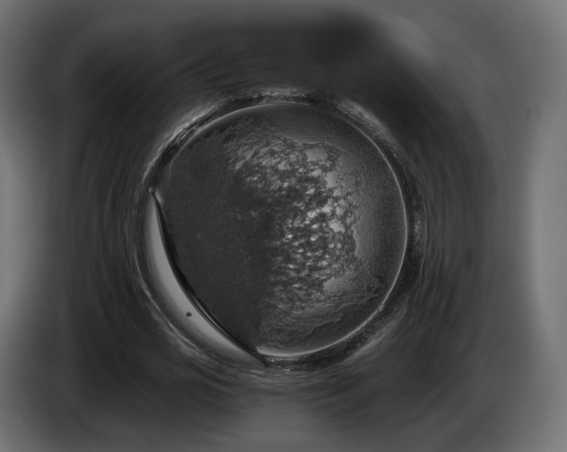 X0000084530725200703021420