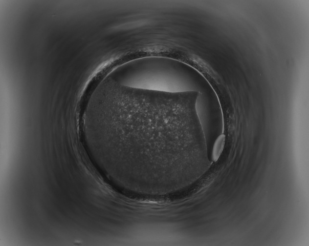 X0000084530727200703021420