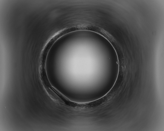 X0000084530728200703021420