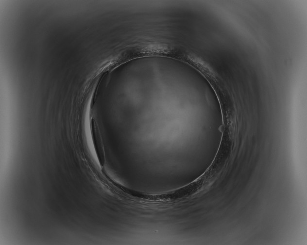 X0000084530729200703021420
