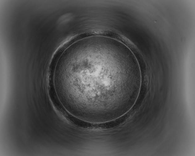 X0000084530730200703021420