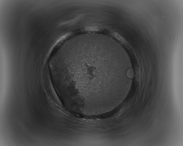 X0000084530731200703021420