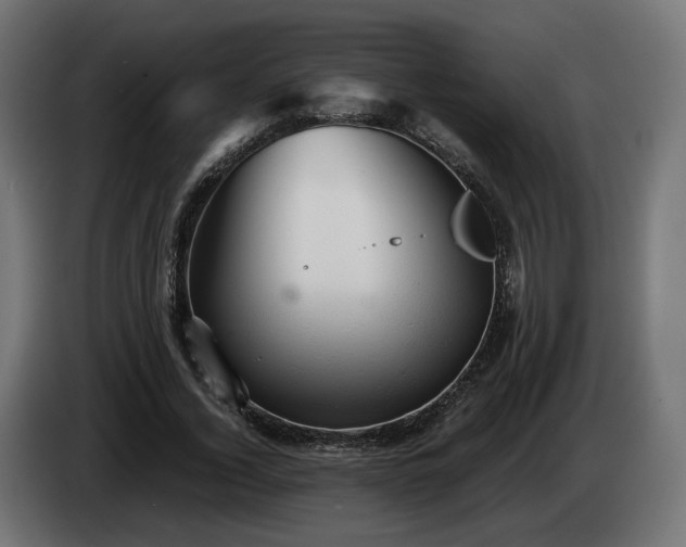 X0000084530732200703021420