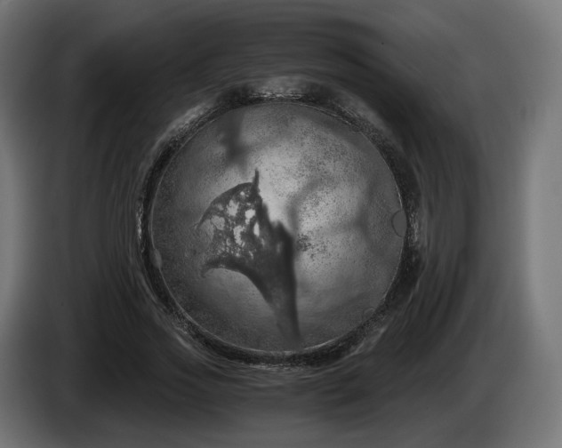 X0000084530733200703021420