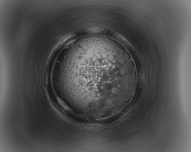 X0000084530734200703021420