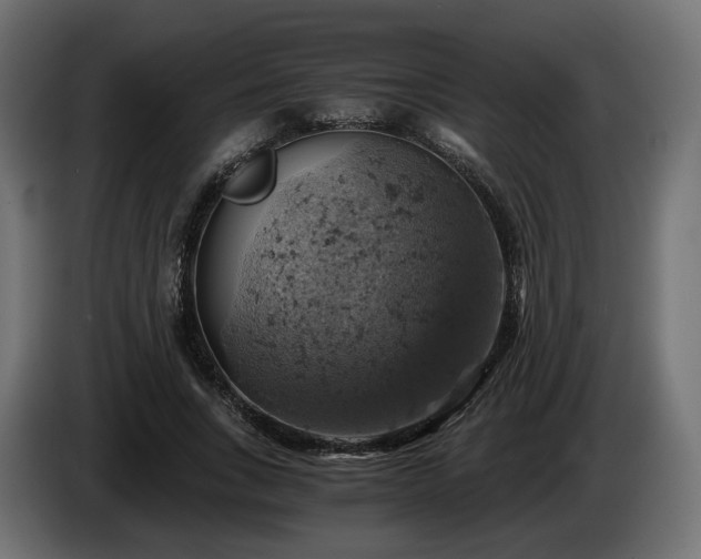 X0000084530735200703021420