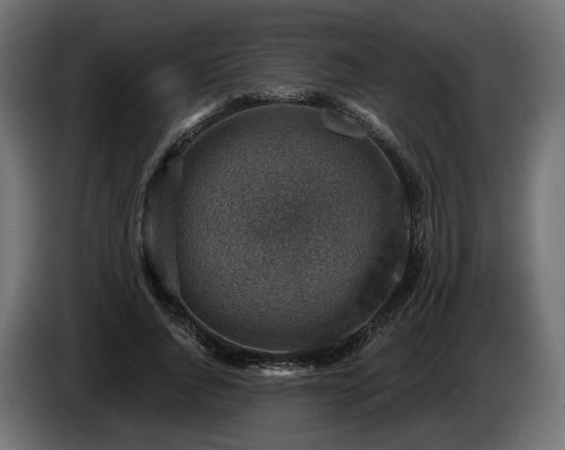 X0000084530736200703021420