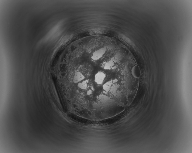 X0000084530738200703021420