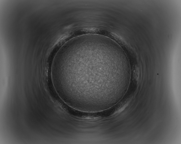 X0000084530739200703021420