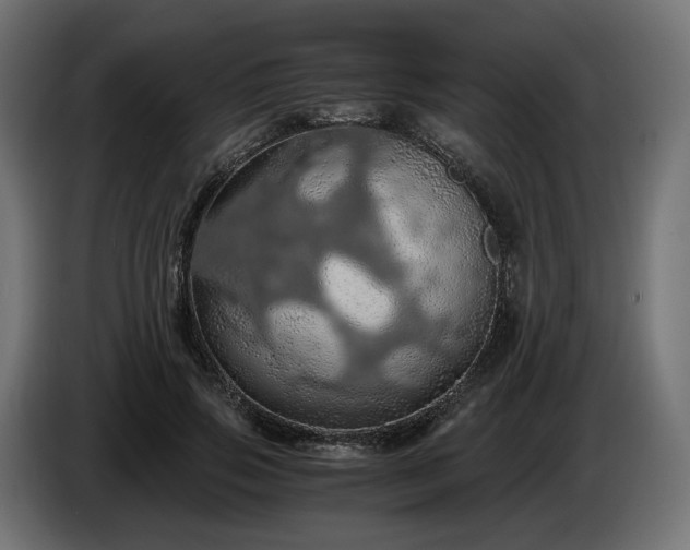 X0000084530741200703021420