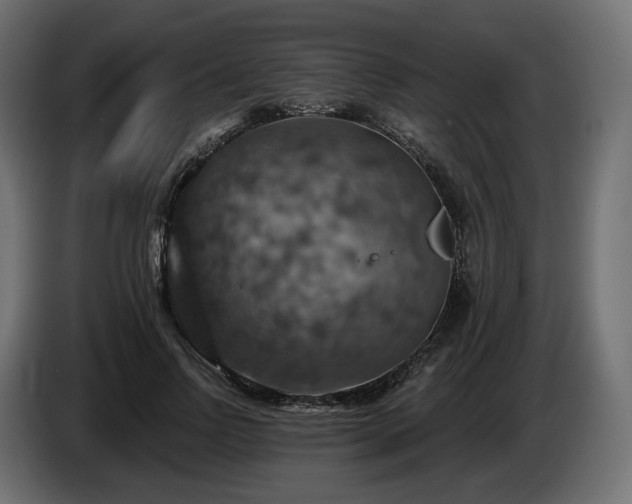 X0000084530742200703021420